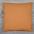 Couch Pillows Cover