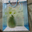 Plastic Transparent Bag With Handle (1 Pc / 34 x 26 Cm)