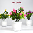 Decorative artificial plant for various uses.