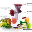 Fruit and vegetable juicer with manual handle