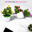 Home and office artificial plant.