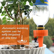 Auto Plant Watering Devices (4 Pcs Set)