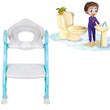 2-in-1 potty training ladder for easy toilet access