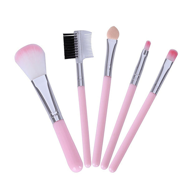 5pc makeup tools kit with brushes and applicators