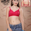 2 Pack Comfy padded non wired t shirt bra