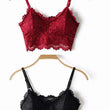 2 pack luxury lace padded bralette