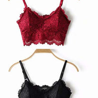 2 pack luxury lace padded bralette