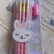 Pencil set with sharpener and erasers, great for birthday gifts