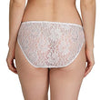 Women's Low Waist Lace Panty Trio - Pack of 3