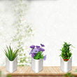 Multicolor vertical planter, easy to hang on walls.