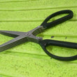 Multifunction Vegetable Stainless Steel Herbs Scissor with 5 Blades (1 Pc)