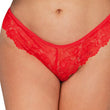 5XL French Daina Signature Lace Thong