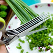 Vegetable Cutting Scissor