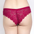 Beautiful Lace Hot Bikini Panty (Pk of 2)