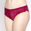 Beautiful Lace Hot Bikini Panty (Pk of 2)