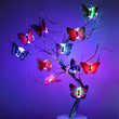 The Butterfly 3D Night Lamp Comes with 3D Illusion Design Suitable for Drawing Room, Lobby.