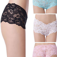 Buy Plus Size Full Lace French Knickers Pk Of 3 + 1 Free Bra (sold out)