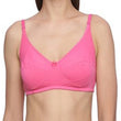 "Hushh" Magenta Comfy Plus Size Regular Use Bra