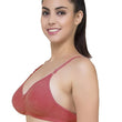 Lightly Padded classic comfort bra pack of 2