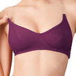 Native purple Transparent Strap Bra