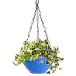 Decorative hanging flower pot