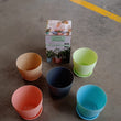 Plastic Flower Pot with Bottom Tray (5 Pcs Set / With Color Box)