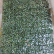 Plastic Wall Artificial Plant Base (60×40 CM / 1 Pc)