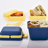 Airtight lunch box with handle and secure push lock