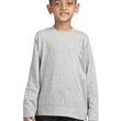 Boys Full Sleeve Unisex Grey Sweatshirt