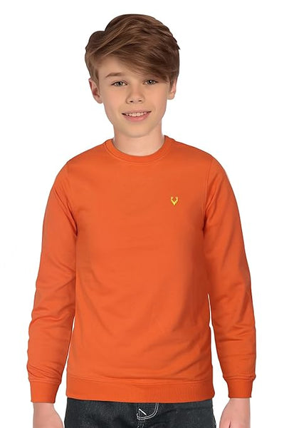 Boys Cotton Orange Sweatshirt