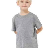 Light Grey Round Neck Half Sleeve Kids Boys T-Shirt