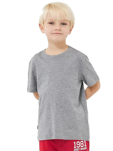 Light Grey Round Neck Half Sleeve Kids Boys T-Shirt